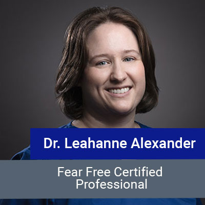 Dr. Alexander, veterinary team member at Star of Texas Veterinary Hospital in Austin, TX