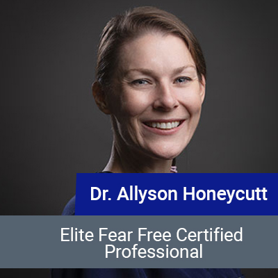 Dr. Allyson Honeycutt, veterinarian at Star of Texas Veterinary Hospital in Austin, TX