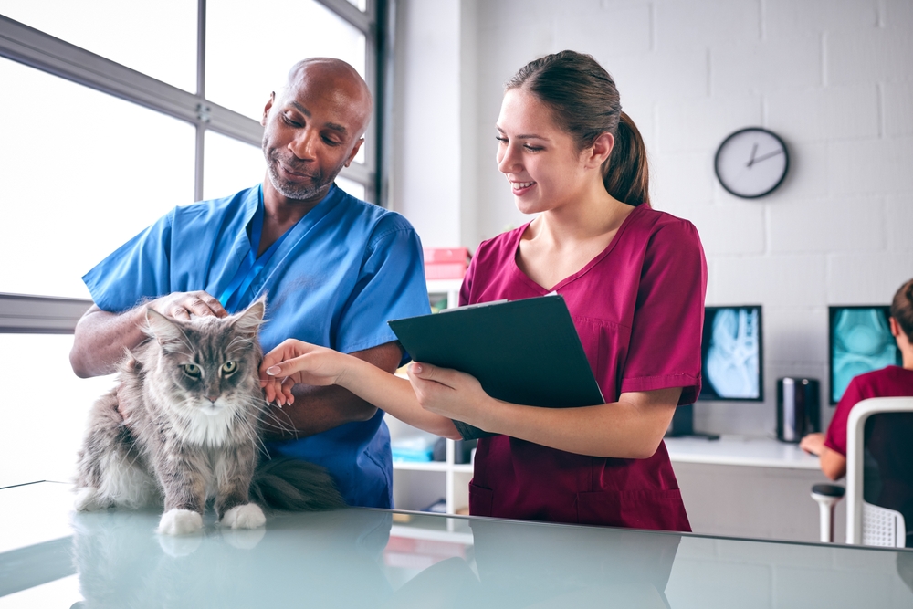 PetAssurance pet insurance promoting coverage for veterinary care.