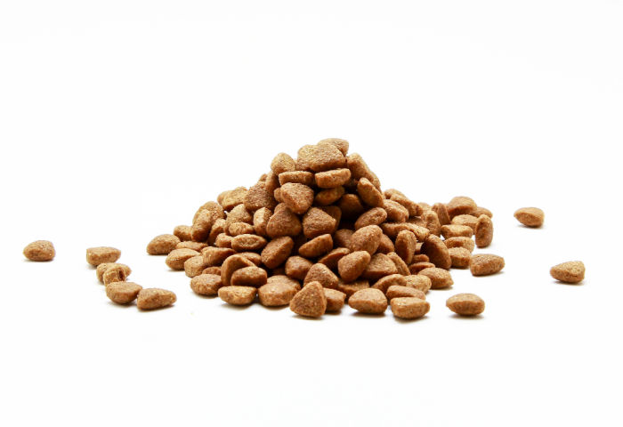 hills-food Hill's prescription dental diet food for dogs supporting veterinary oral health care