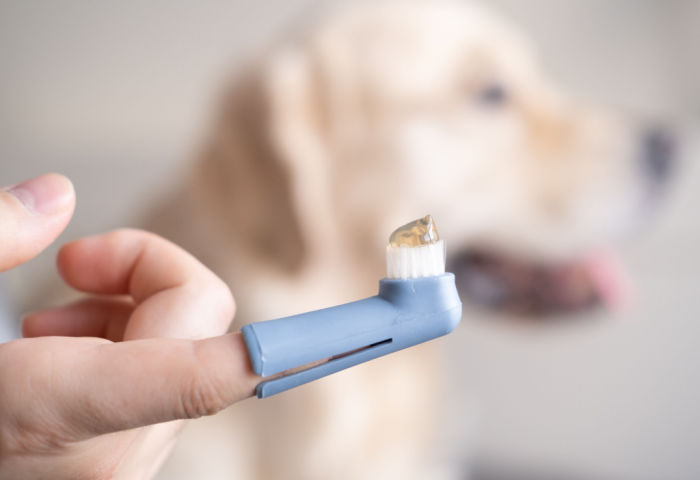 pet-toothepaste Pet toothpaste for dogs and cats recommended for daily at-home dental care