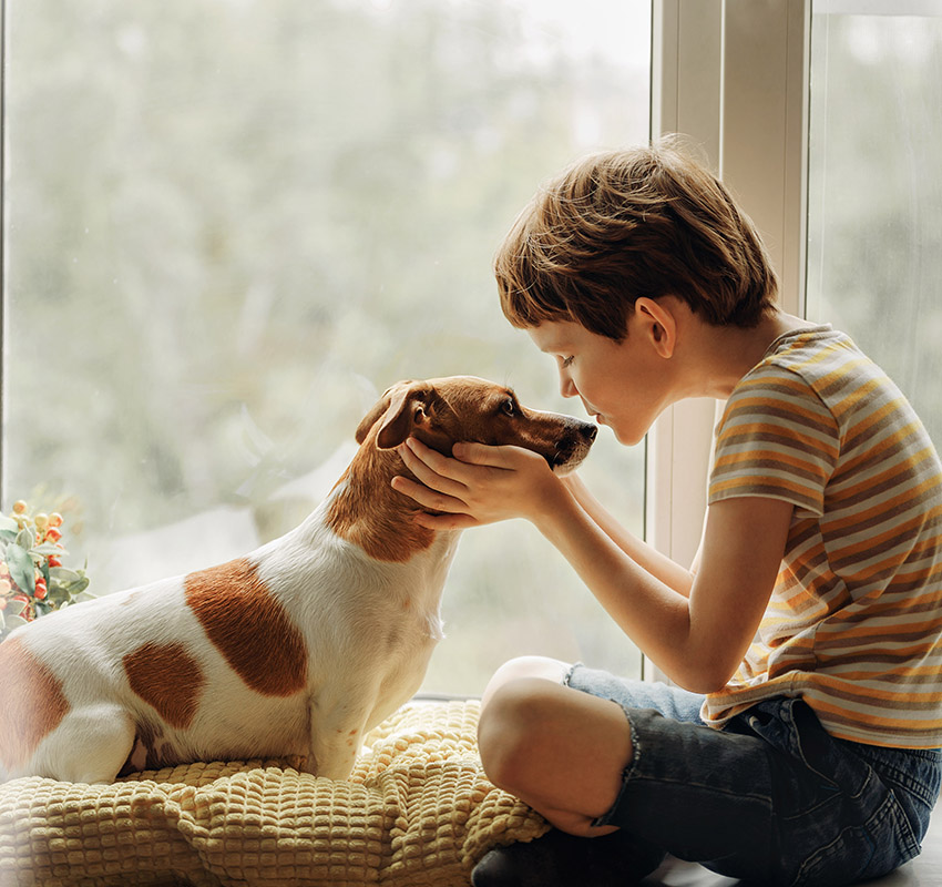 Young boy kissing his dog on the nose through a window, celebrating the human-pet bond