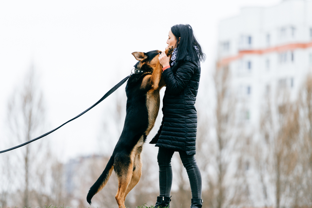 Young woman in down jacket playing fetch with her dog outdoors – active pet care in Austin
