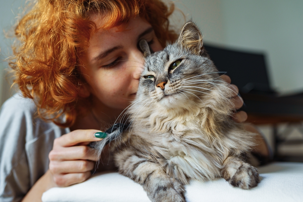 Teenage girl caring for a fluffy long-haired domestic cat — responsible pet ownership